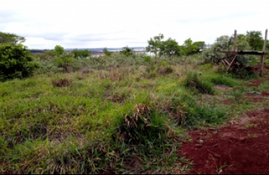 Terreno para venda em Arandu